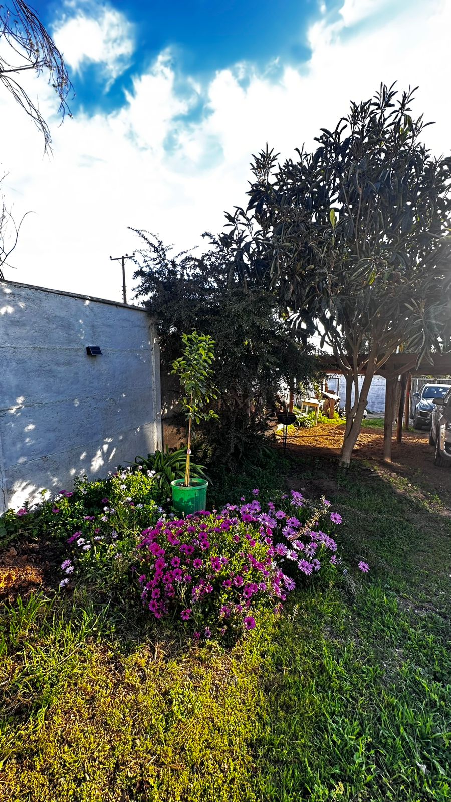 Jardín con áreas verdes
